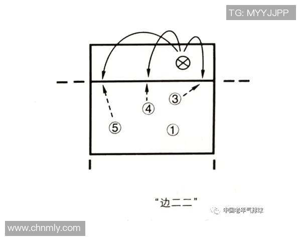 深圳排球队中路突破分析与战术反思探讨