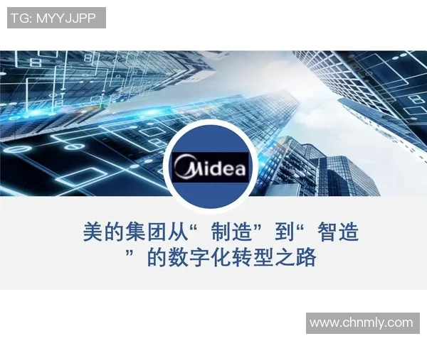 北京排球队的转型之路：从传统强队到现代化竞技新标杆