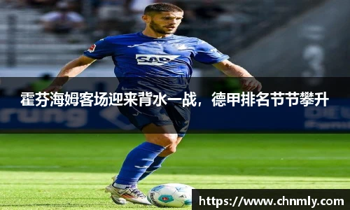 霍芬海姆客场迎来背水一战，德甲排名节节攀升