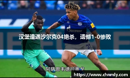 汉堡遭遇沙尔克04绝杀，遗憾1-0惨败